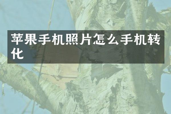 苹果手机照片怎么手机转化
