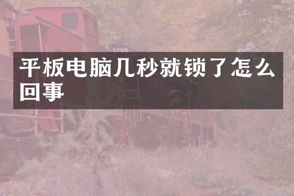 平板电脑几秒就锁了怎么回事