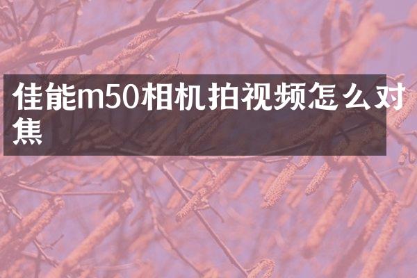 佳能m50相机拍视频怎么对焦
