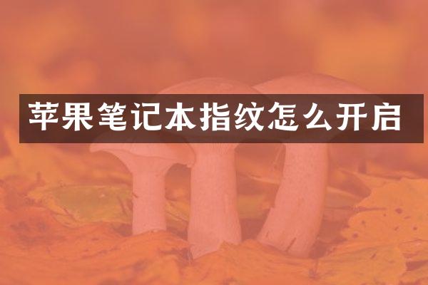 苹果笔记本指纹怎么开启