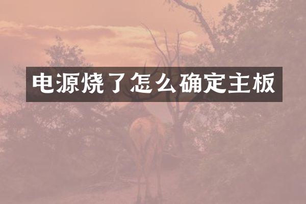 电源烧了怎么确定主板