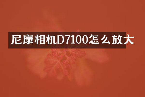 尼康相机D7100怎么放大