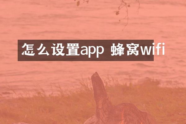 怎么设置app 蜂窝wifi