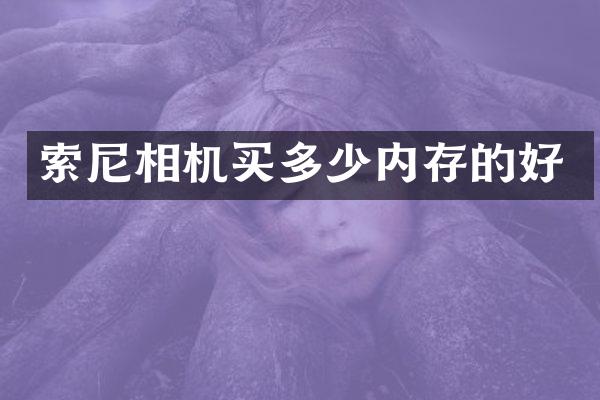 相机买多少内存的好