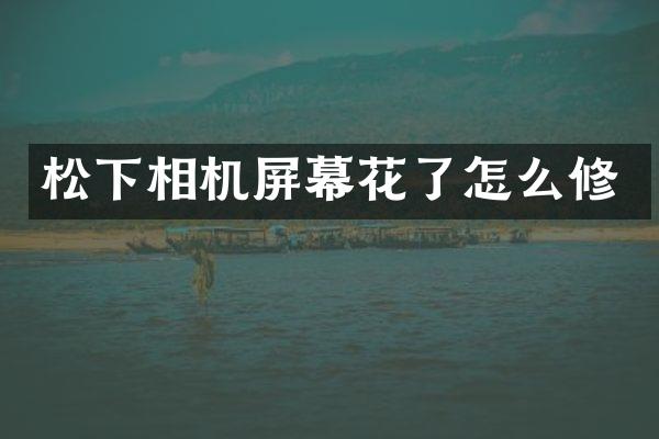 相机屏幕花了怎么修