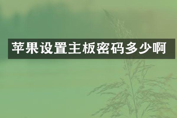 苹果设置主板密码多少啊