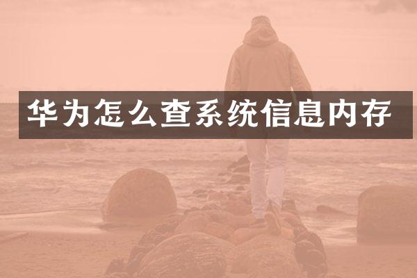 华为怎么查系统信息内存