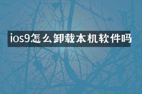 ios9怎么卸载本机软件吗
