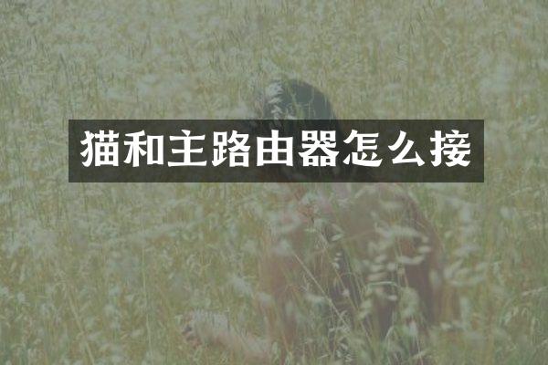 猫和主路由器怎么接