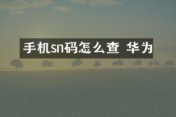 手机sn码怎么查 华为