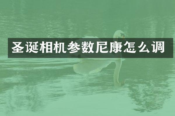 圣诞相机参数尼康怎么调