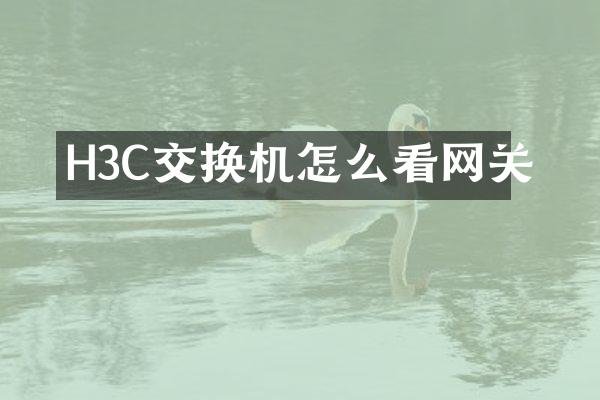 H3C交换机怎么看网关