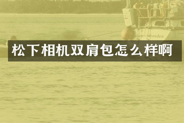 相机双肩包怎么样啊