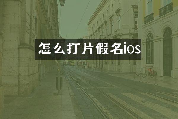 怎么打片假名ios