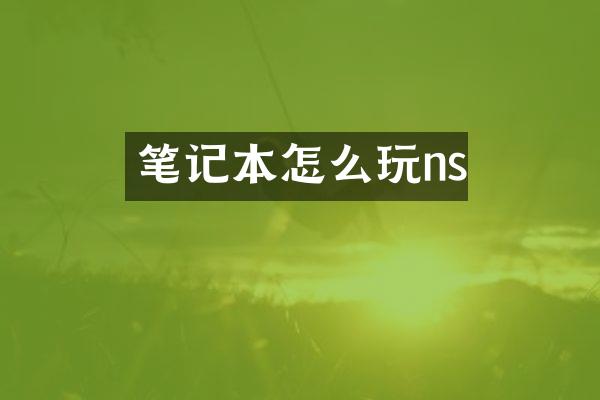 笔记本怎么玩ns
