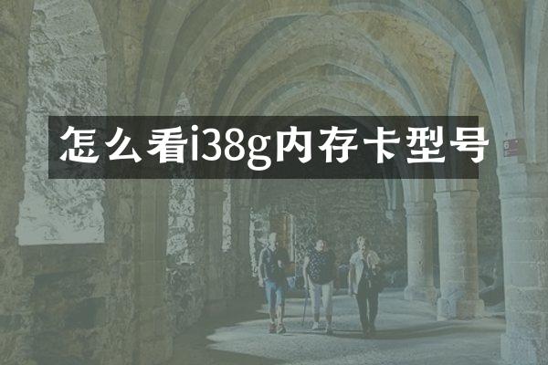 怎么看i38g内存卡型号