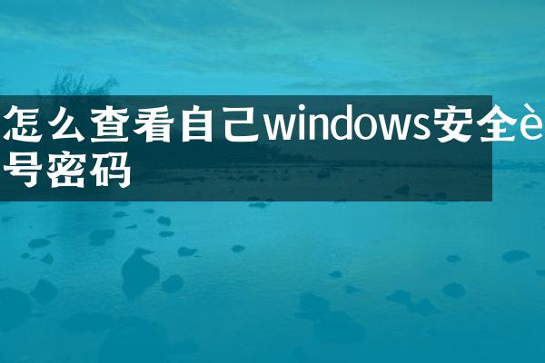 怎么查看自己windows安全账号密码