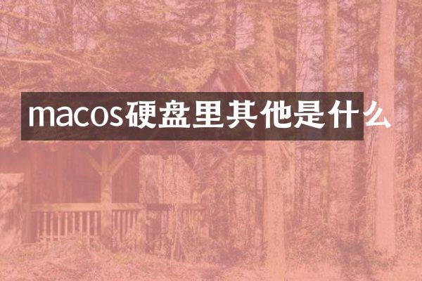 macos硬盘里其他是什么