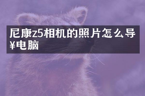 尼康z5相机的照片怎么导入电脑