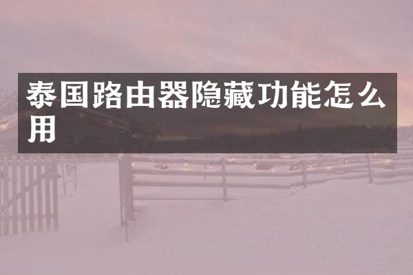 泰国路由器隐藏功能怎么用