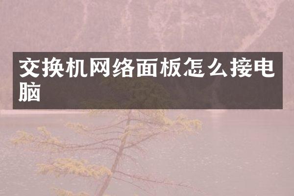 交换机网络面板怎么接电脑