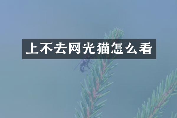上不去网光猫怎么看