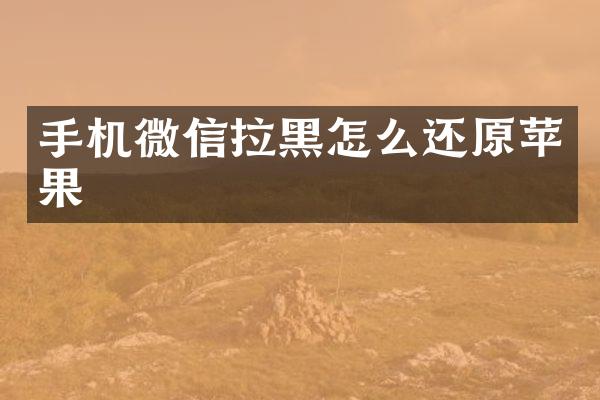 手机微信拉黑怎么还原苹果