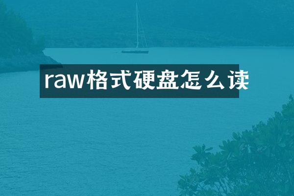 raw格式硬盘怎么读