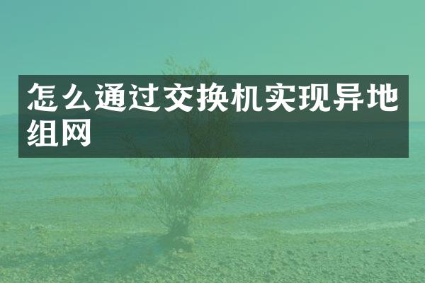 怎么通过交换机实现异地组网