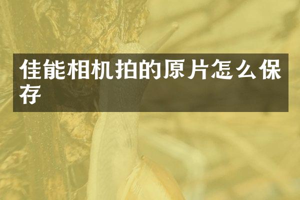 佳能相机拍的原片怎么保存