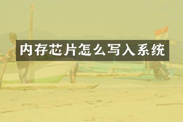 内存芯片怎么写入系统