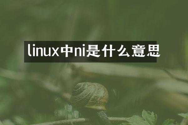 linux中ni是什么意思