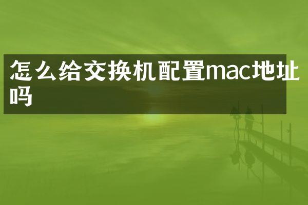 怎么给交换机配置mac地址吗