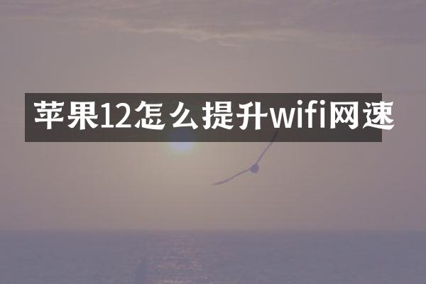 苹果12怎么提升wifi网速