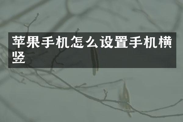 苹果手机怎么设置手机横竖