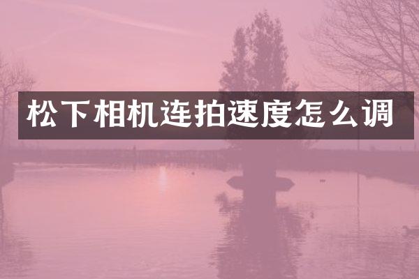 相机连拍速度怎么调