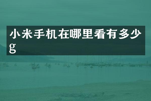 小米手机在哪里看有多少g