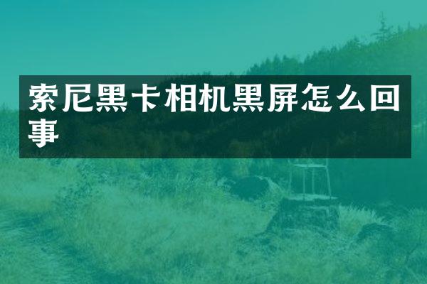相机黑屏怎么回事