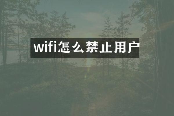 wifi怎么禁止用户