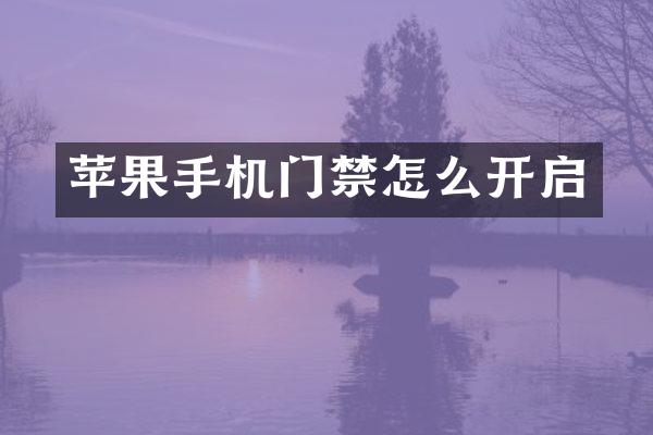 苹果手机门禁怎么开启