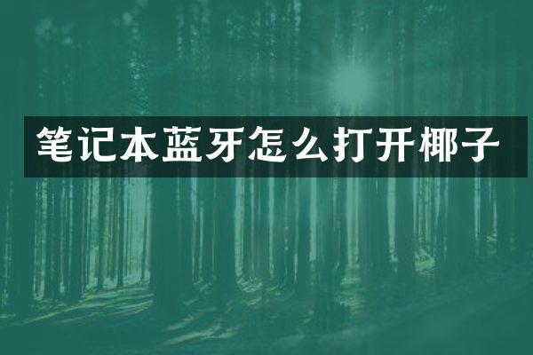 笔记本蓝牙怎么打开椰子
