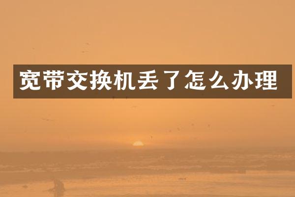 宽带交换机丢了怎么办理