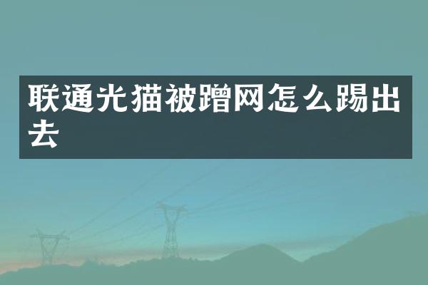 联通光猫被蹭网怎么踢出去