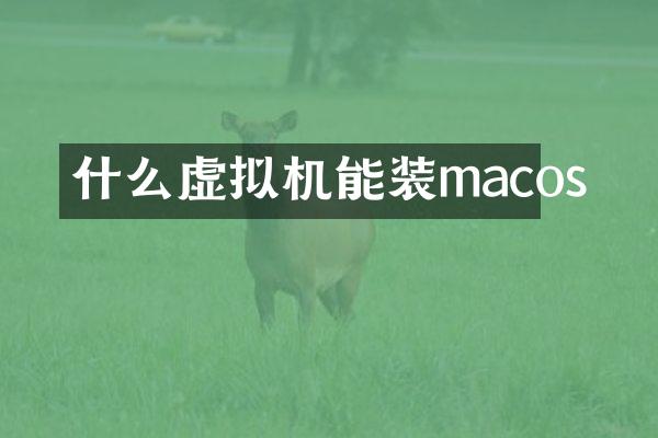 什么虚拟机能装macos