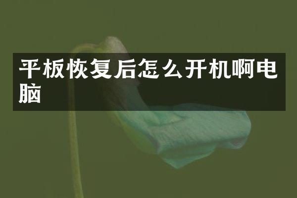 平板恢复后怎么开机啊电脑