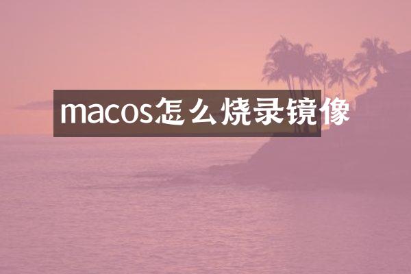 macos怎么烧录镜像