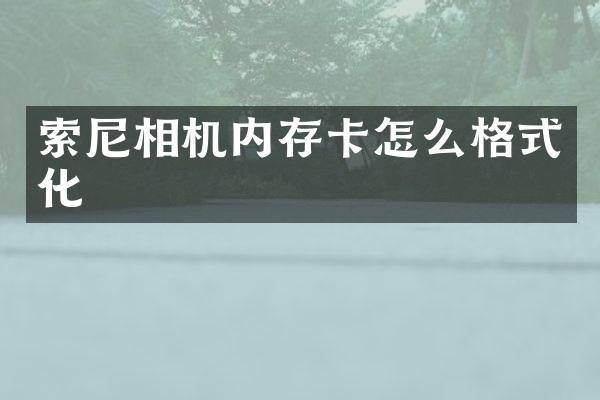 相机内存卡怎么格式化
