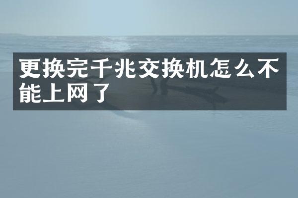 更换完千兆交换机怎么不能上网了