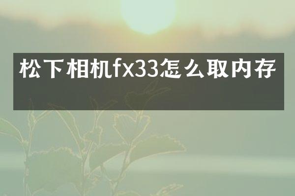 相机fx33怎么取内存卡