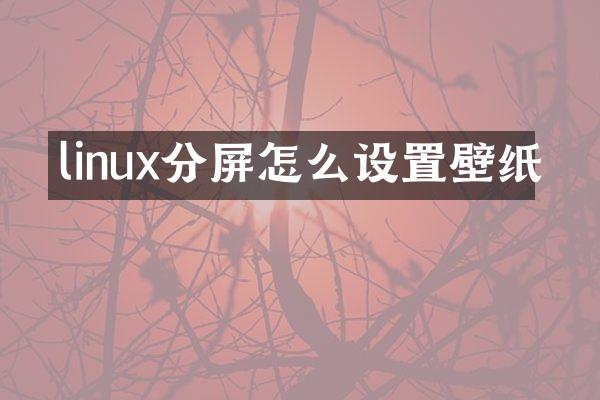 linux分屏怎么设置壁纸